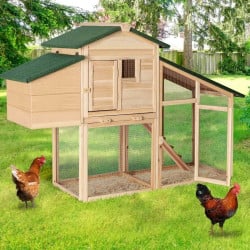 Poulailler bois avec pondoir (8)