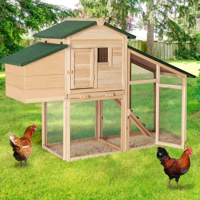 Poulailler bois avec pondoir (8)