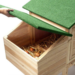 Poulailler bois avec pondoir (7)