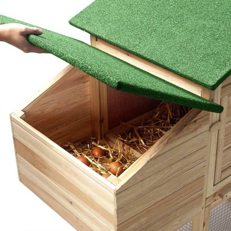 Poulailler bois avec pondoir (7)