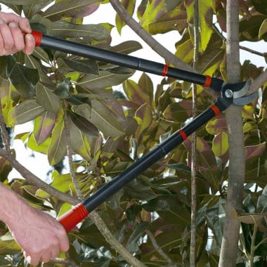 Kit sécateur télescopique, taille haie et sécateur à main (4)