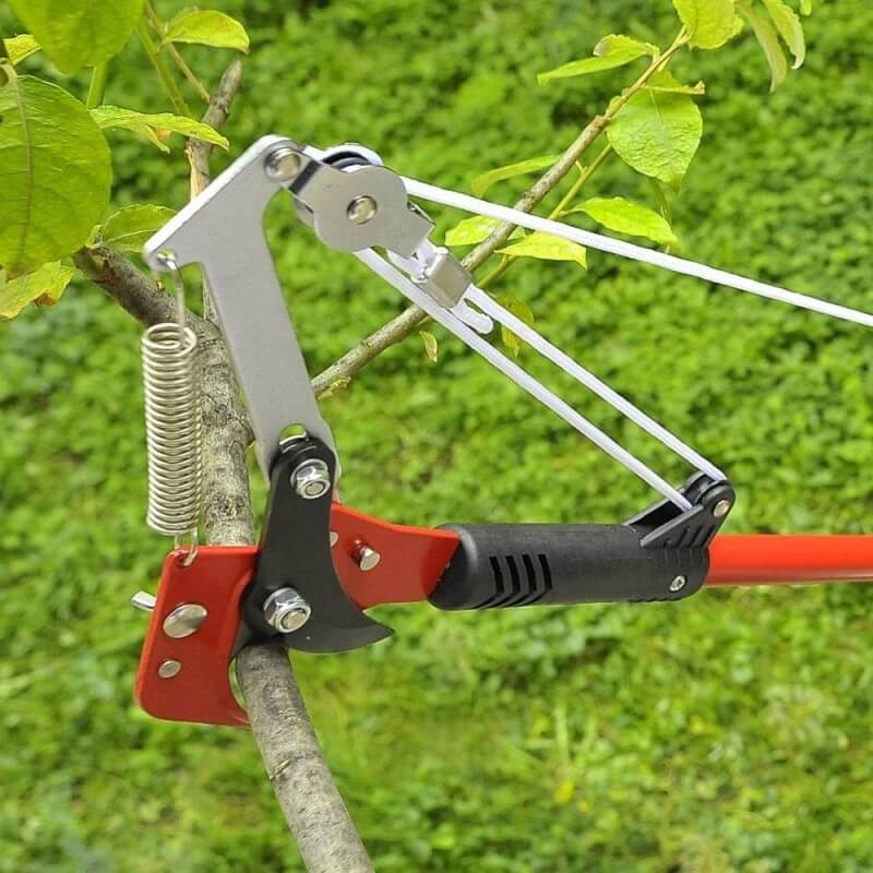 echenilloir professionnel - coupe branches télescopique 6.50m fiskars