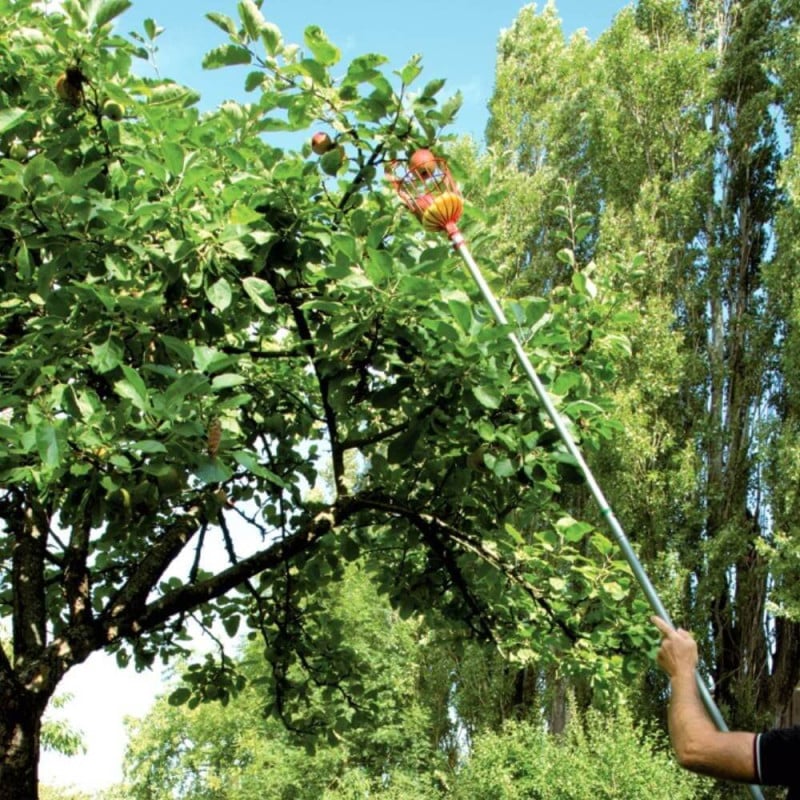 Cueille fruits métallique XXL (2)