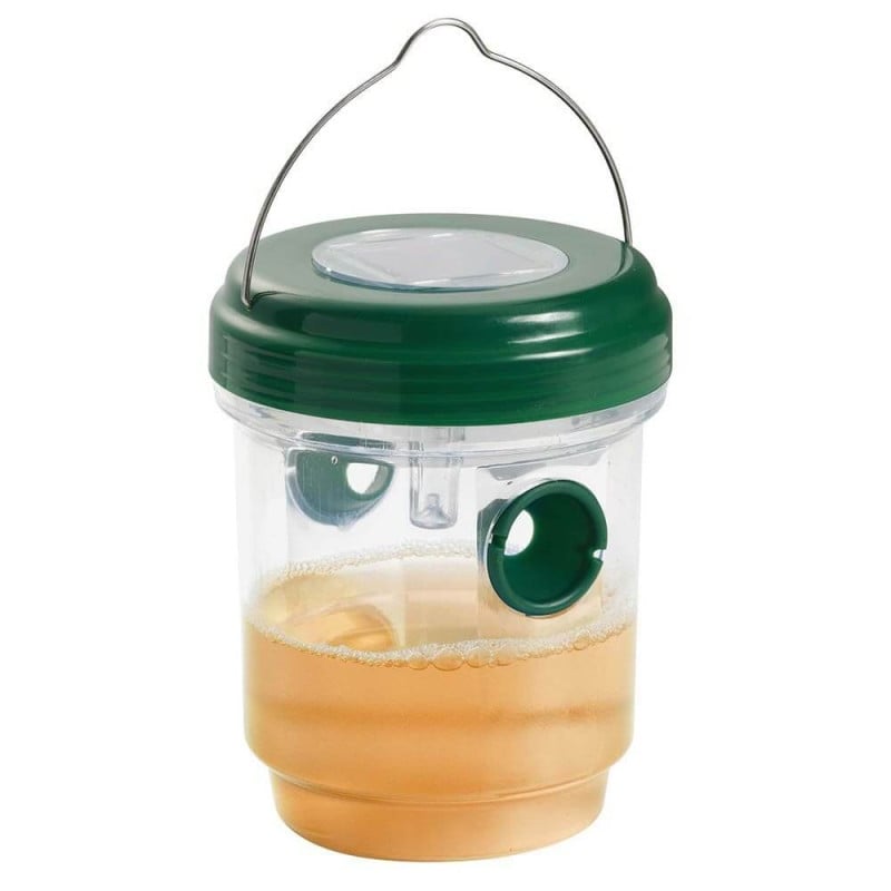 Piège à insectes solaire