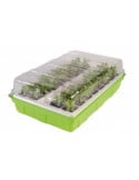 Kit de germination pour semis