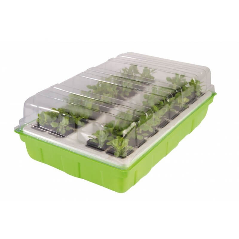 Kit de germination pour semis