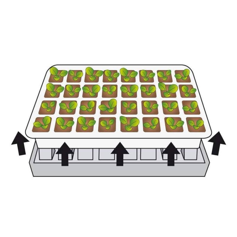 Kit de germination pour semis (4)
