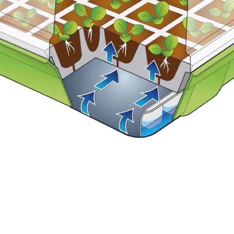 Kit de germination pour semis (5)