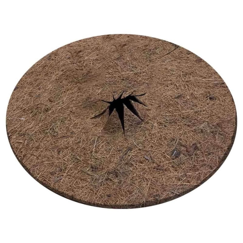 Lot de 2 disques de paillage coco fibres naturelles