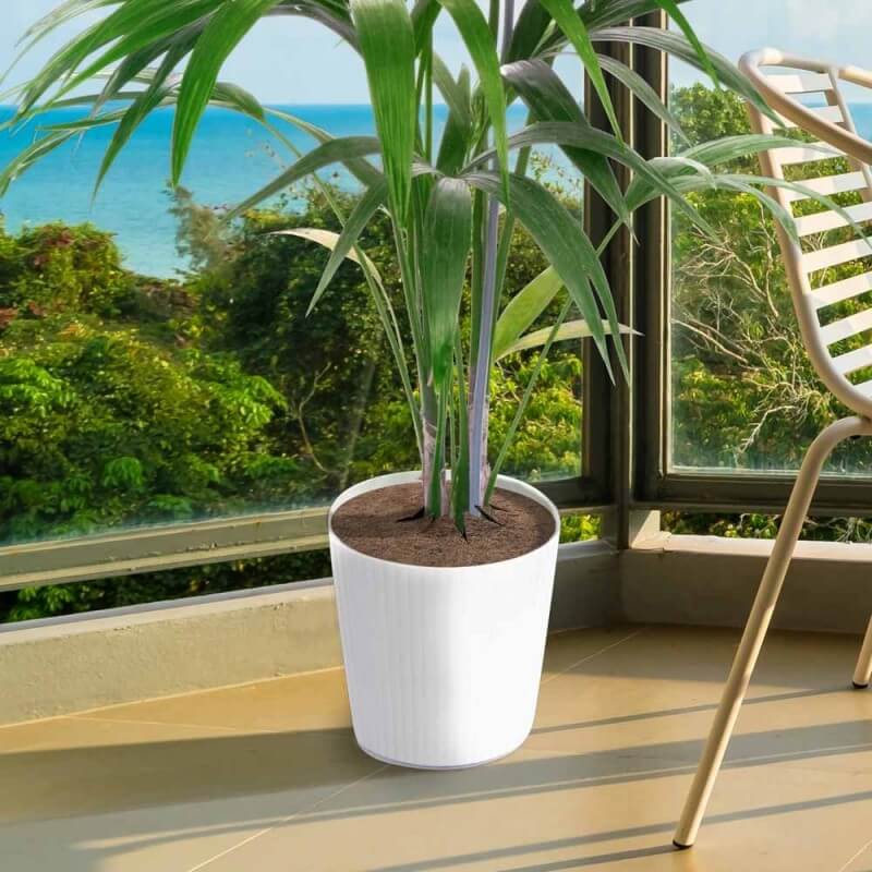 Toile de paillage coco rond 20cm - Protège les plantes (été, hiver)