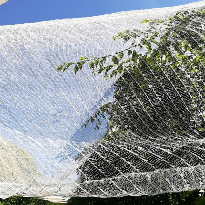 3 filets de protection contre les oiseaux, 8 m x 8 m, filet pour arbres  fruitiers, filet pour légumes