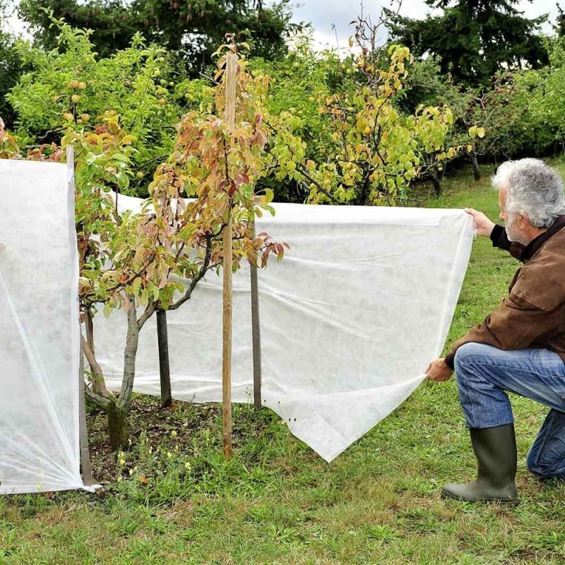 Voile d'hivernage 1 x 10 m pour la protection de vos plantes, Equipement  maison, Catalogue jardin