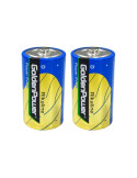 Lot de 2 piles LR20 D