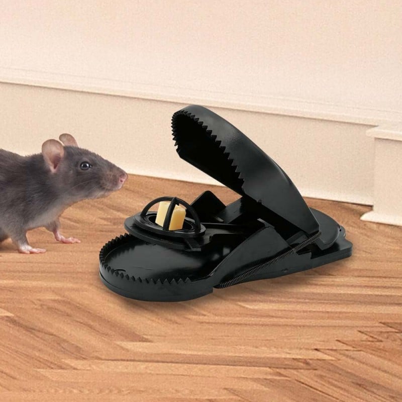 Tapette à souris x 4 : ici achat à prix pas cher !