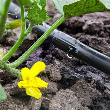 Tuyau goutte à goutte - 300 m (1)