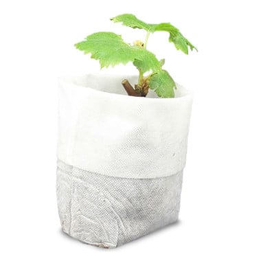 Sacs à semis à enterrer - lot de 500 (3)