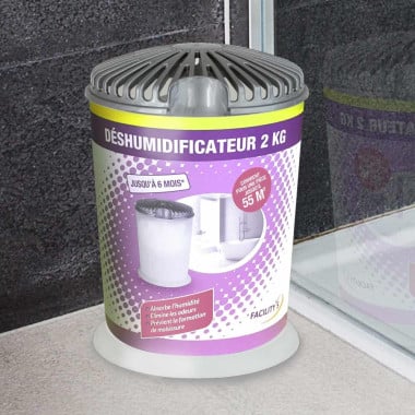 Absorbeur d'humidité + un sachet absorbeur 4L (2)