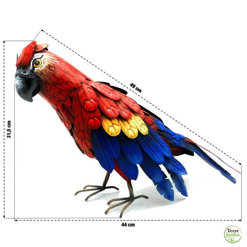Perroquet deco jardin animaux (1)