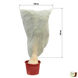 Voiles d'hivernage pour plante - Lot de 10 (1)