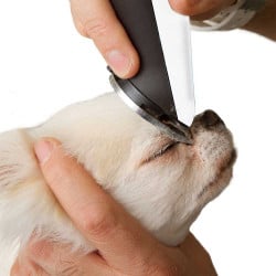 Tondeuse pour chien (2)