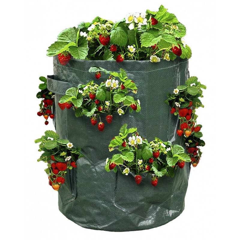 Sac à fraisiers - Sac de plantation pour fraises - X2
