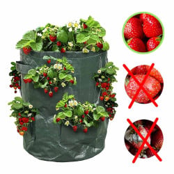 Sac à fraisiers - Sac de plantation pour fraises - X2 (4)