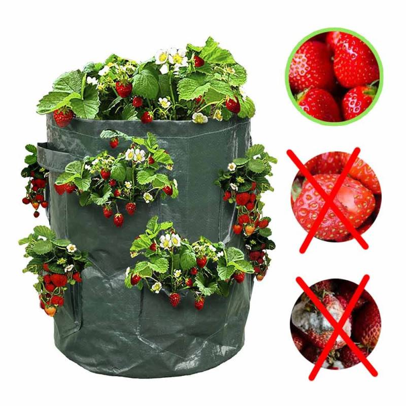 Sac à fraisiers - Sac de plantation pour fraises - X2 (4)