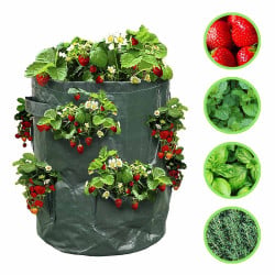 Sac à fraisiers - Sac de plantation pour fraises - X2 (5)
