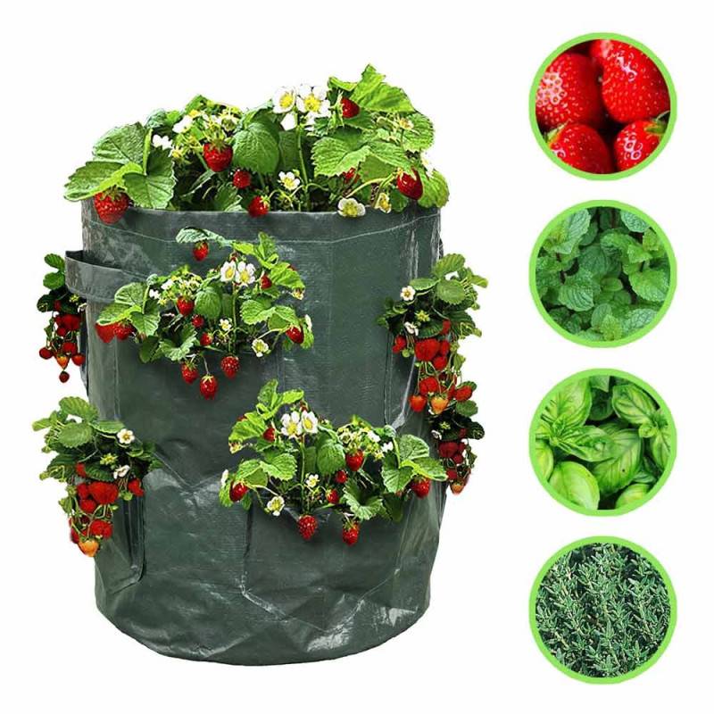 Sac à fraisiers - Sac de plantation pour fraises - X2 (5)