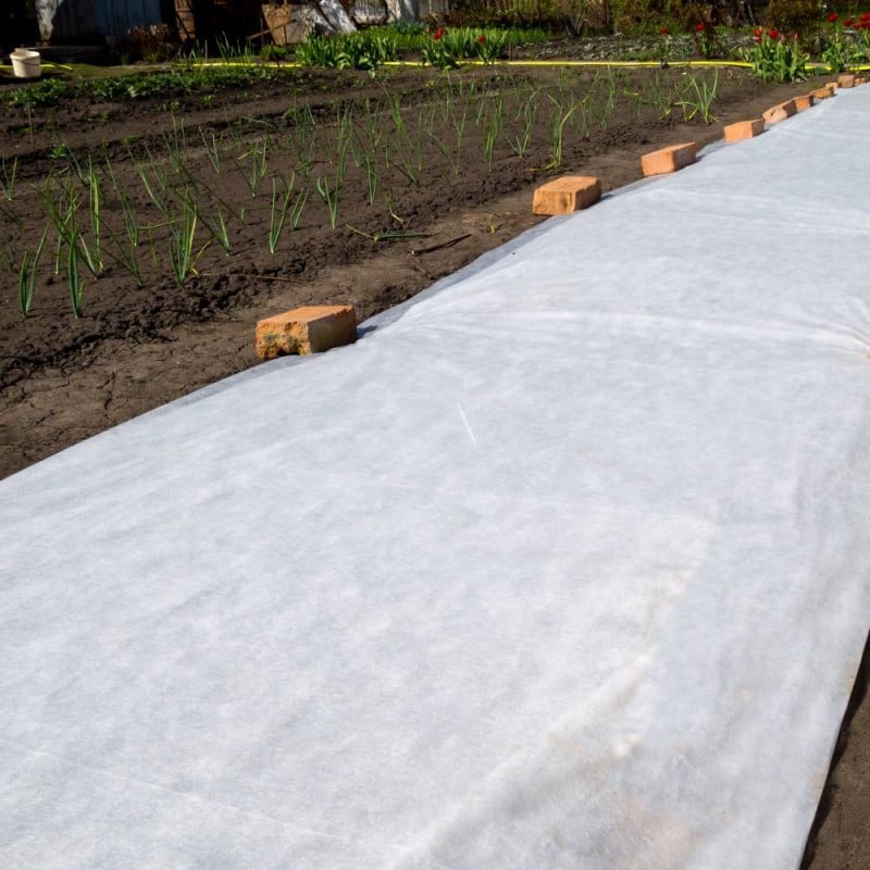 Voile d'hivernage 2 x 5 m pour la protection de vos plantes