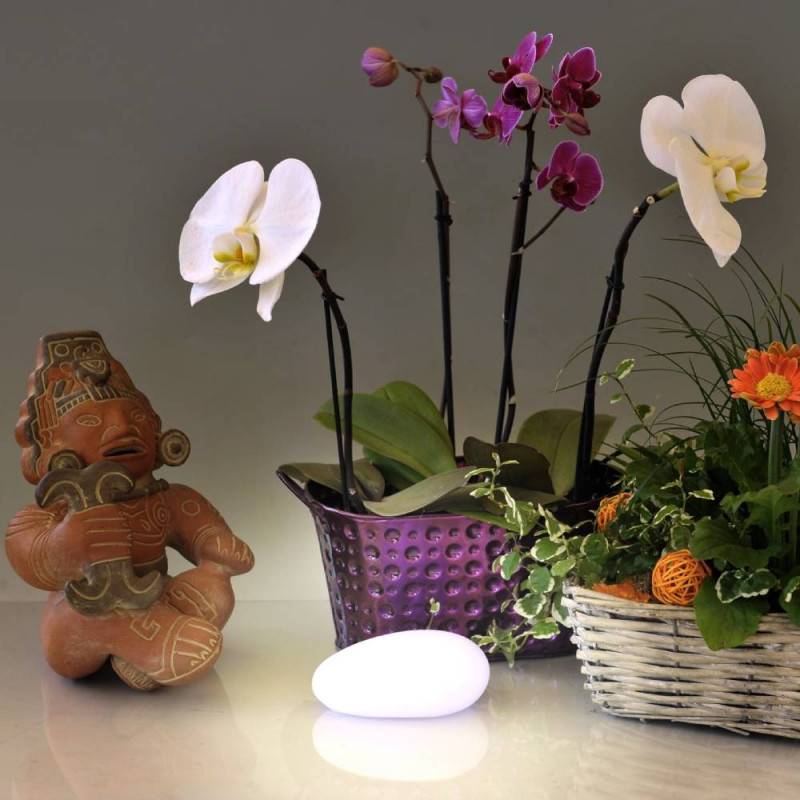 Galet décoratif lumineux : lampe galet ou veilleuse LED (2)
