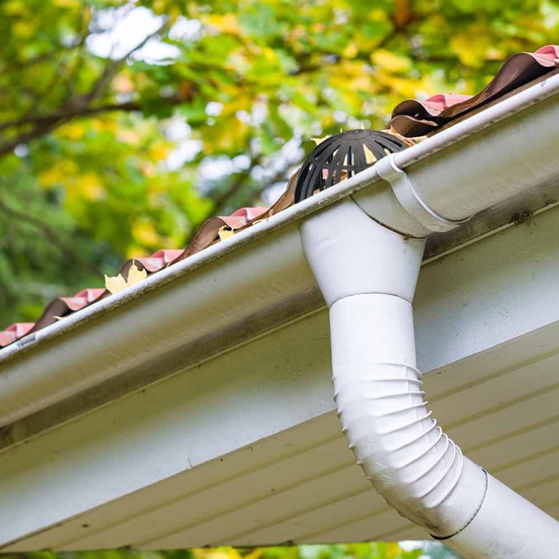 Crapaudine - Panier filtre pour gouttière et cheneau - Par 2 (4)