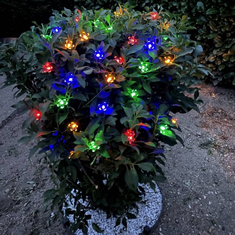 Guirlande lumineuse extérieur solaire fée Lumière 7 M 50 LED fleurs  éclairage décoration pour noël, fête, jardin -violet - Achat/Vente lampe  solaire jardin pas cher 