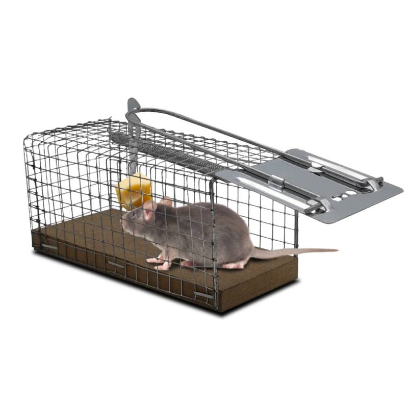 Piège à rat