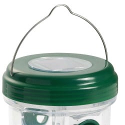 Piège à insectes solaire (2)