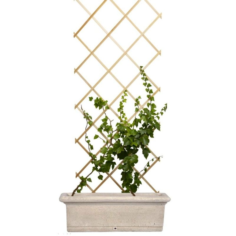 Treillis en bois clair pour plantes grimpantes 1,80 m x 80 cm : achat pas  cher