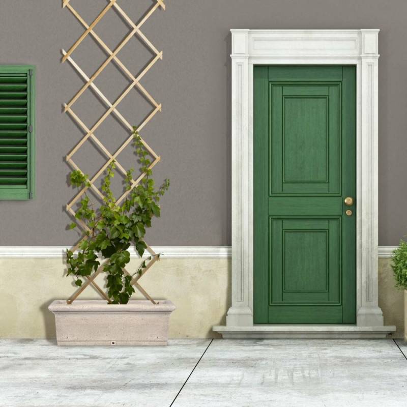 Treillis en bois pour plantes grimpantes (3)