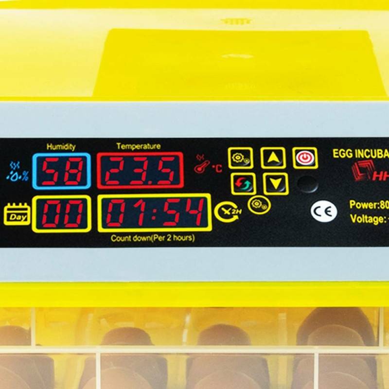 Couveuse automatique - 112 oeufs (3)