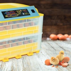 Couveuse automatique - 112 oeufs (4)