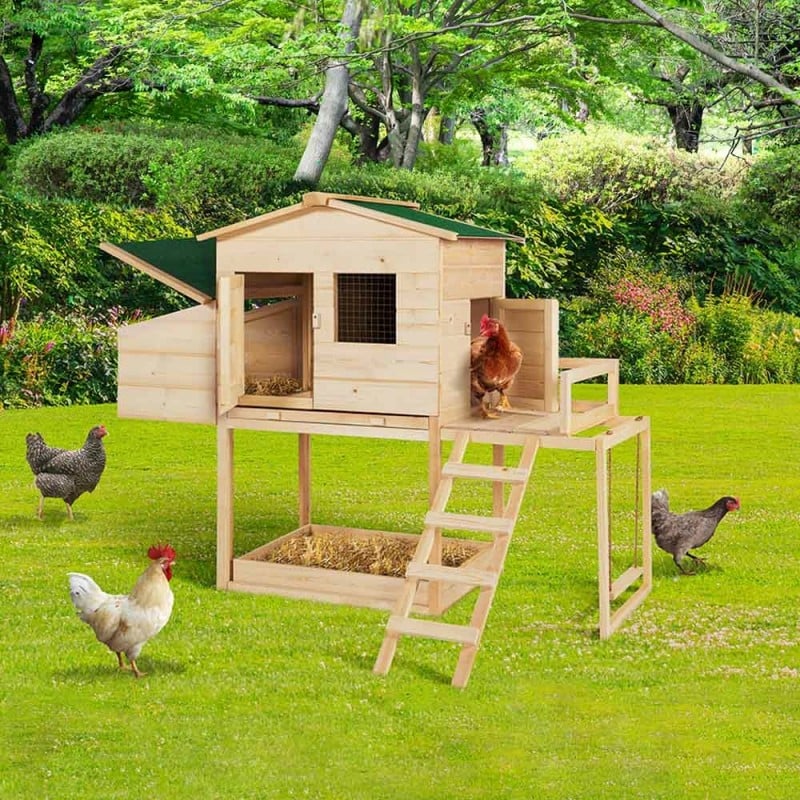 Aire de jeux en bois pour poules avec balançoire et perchoir