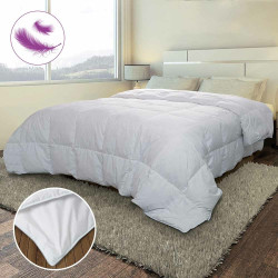 Couette de lit plume d'oie (3)