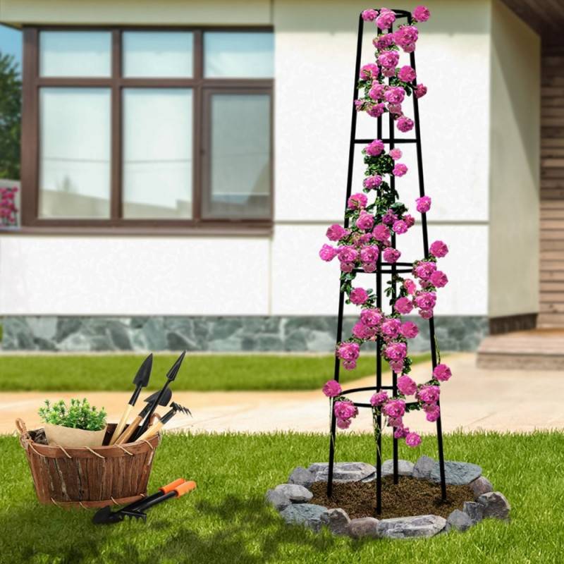 Tuteur rosier grimpant obélisque "romana" (4)