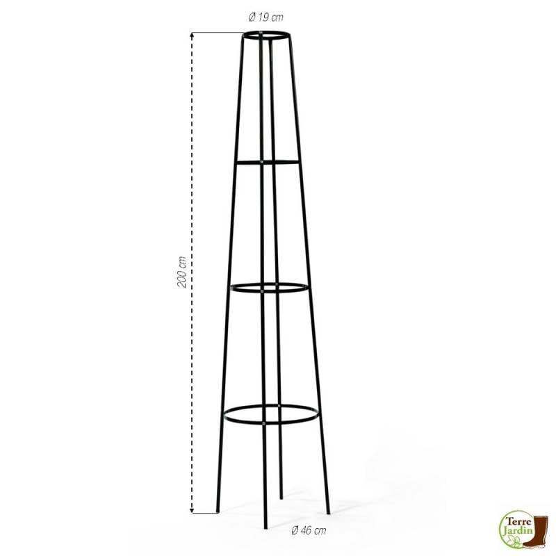 Tuteur rosier grimpant obélisque "romana" (2)