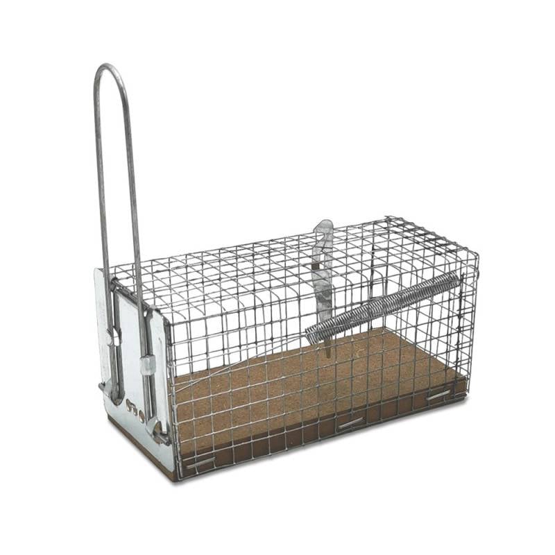 Nasse   piège à souris (1)