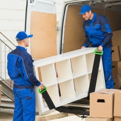 Sangle de manutention pour charge 50 kg (6)