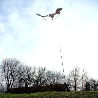 Effaroucheur d'oiseaux cerf volant faucon (9)