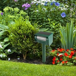 Anti chat et nuisible solaire à ultrasons (5)