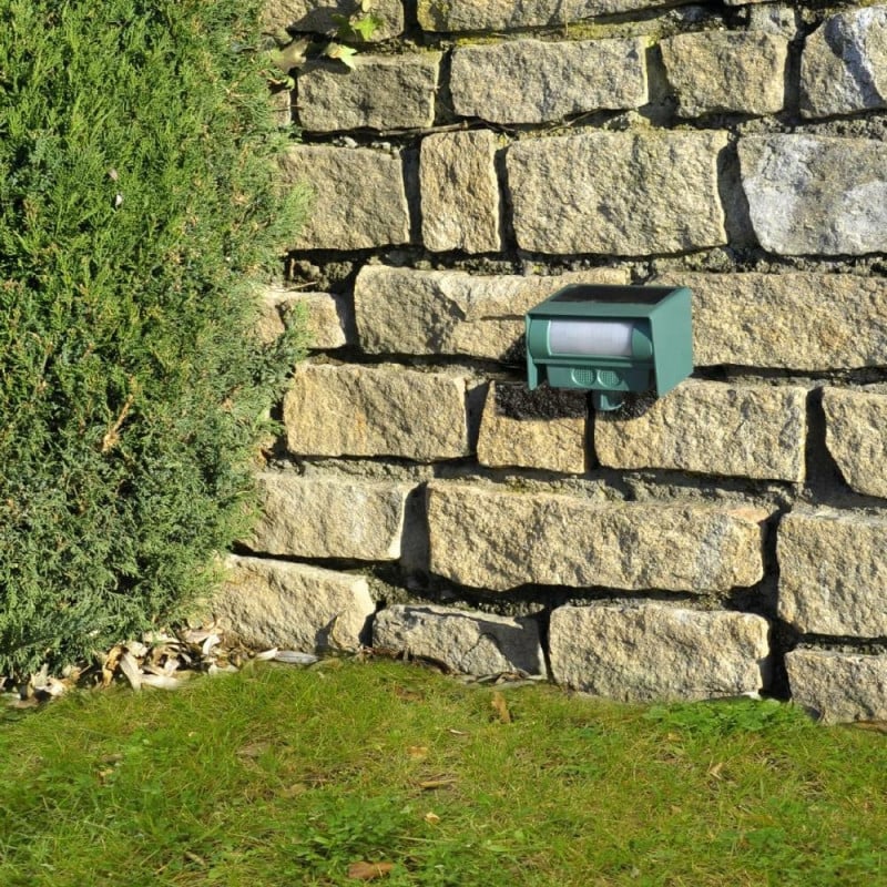 Anti chat et nuisible solaire à ultrasons (6)