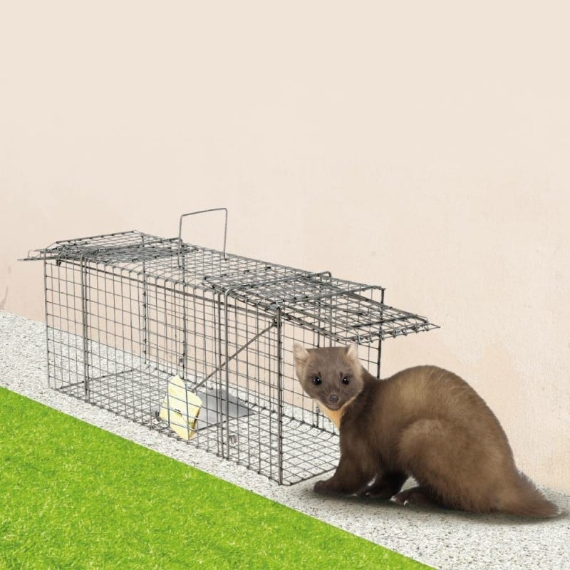 Cage à rats avec glissière 1 entrée