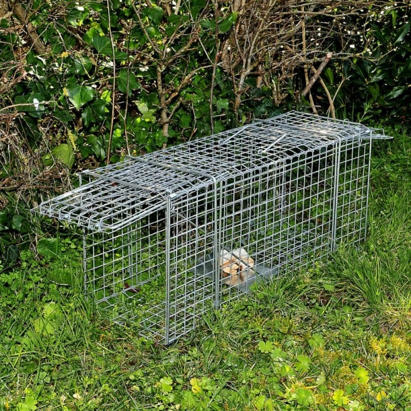 Mecanix Piège à Fauve Galvanisée 50X18X18 cm pour capturer Les Animaux |  Piege/Trappe Vivant Double entrée, Cage/nasse Exterieur Un Rat, Campagnol